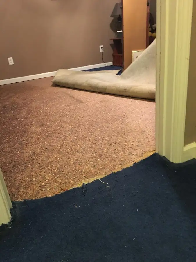 Carpet pad removal revealing water damage during Drying & Dehumidification in Grand Forks